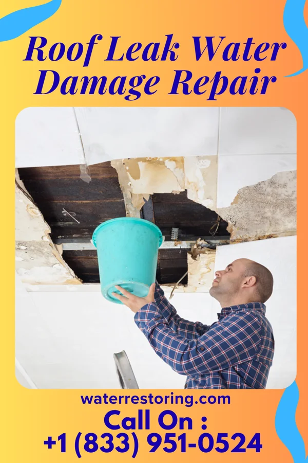 Roof Leak Water Damage Repair in Frederika, IA